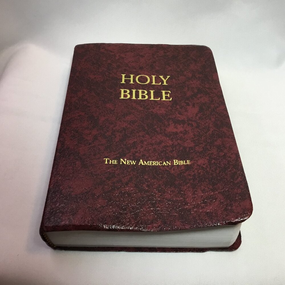 NAB Holy Bible The New American Bible Fireside Study Edition Catholic 1987-1981